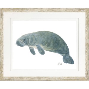 KS- MANATEE 2